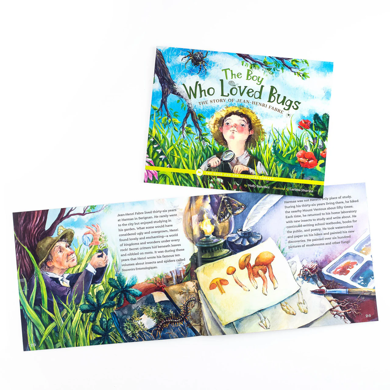 Arthropods Read-Aloud Book Pack - Image 5