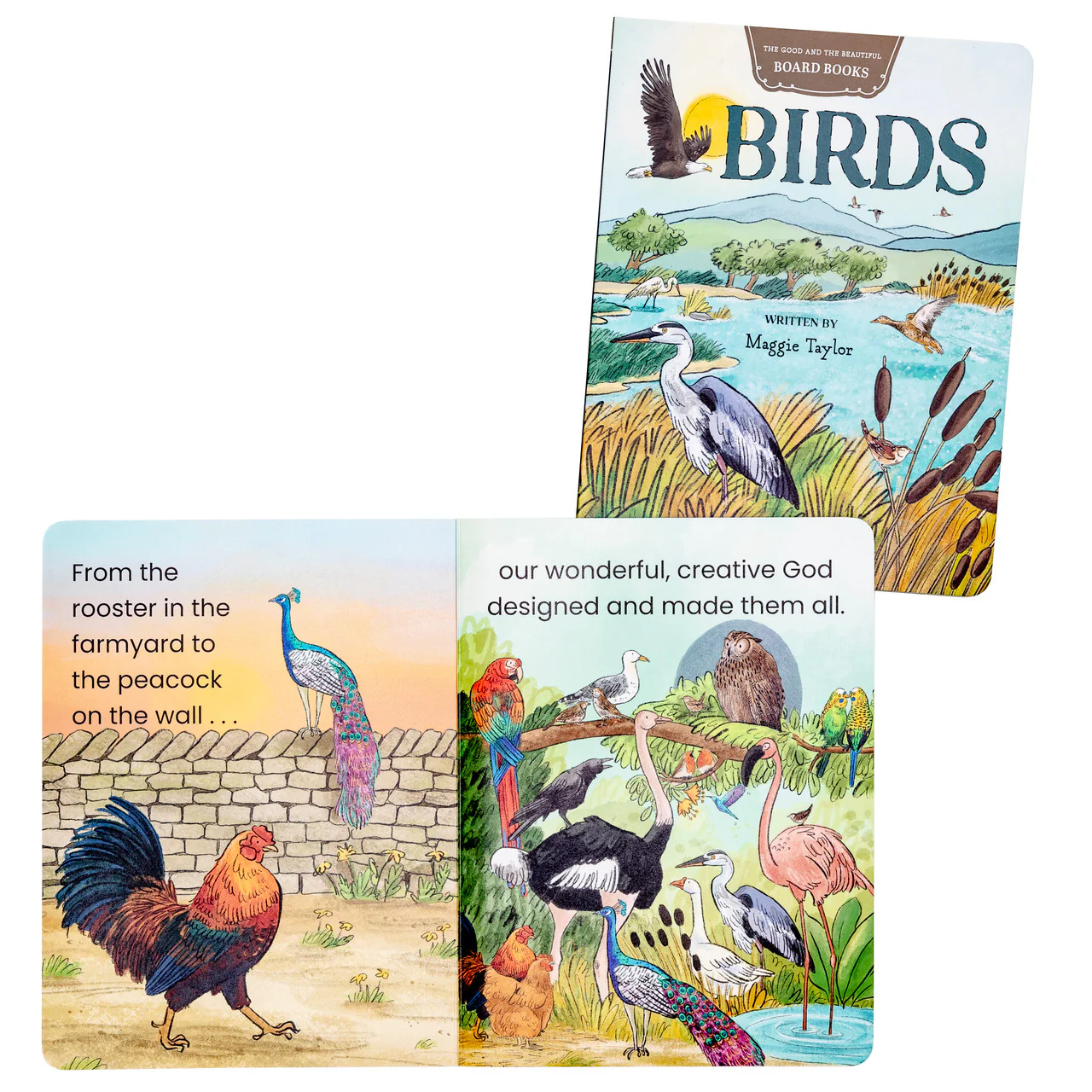Birds Board Book - Image 3