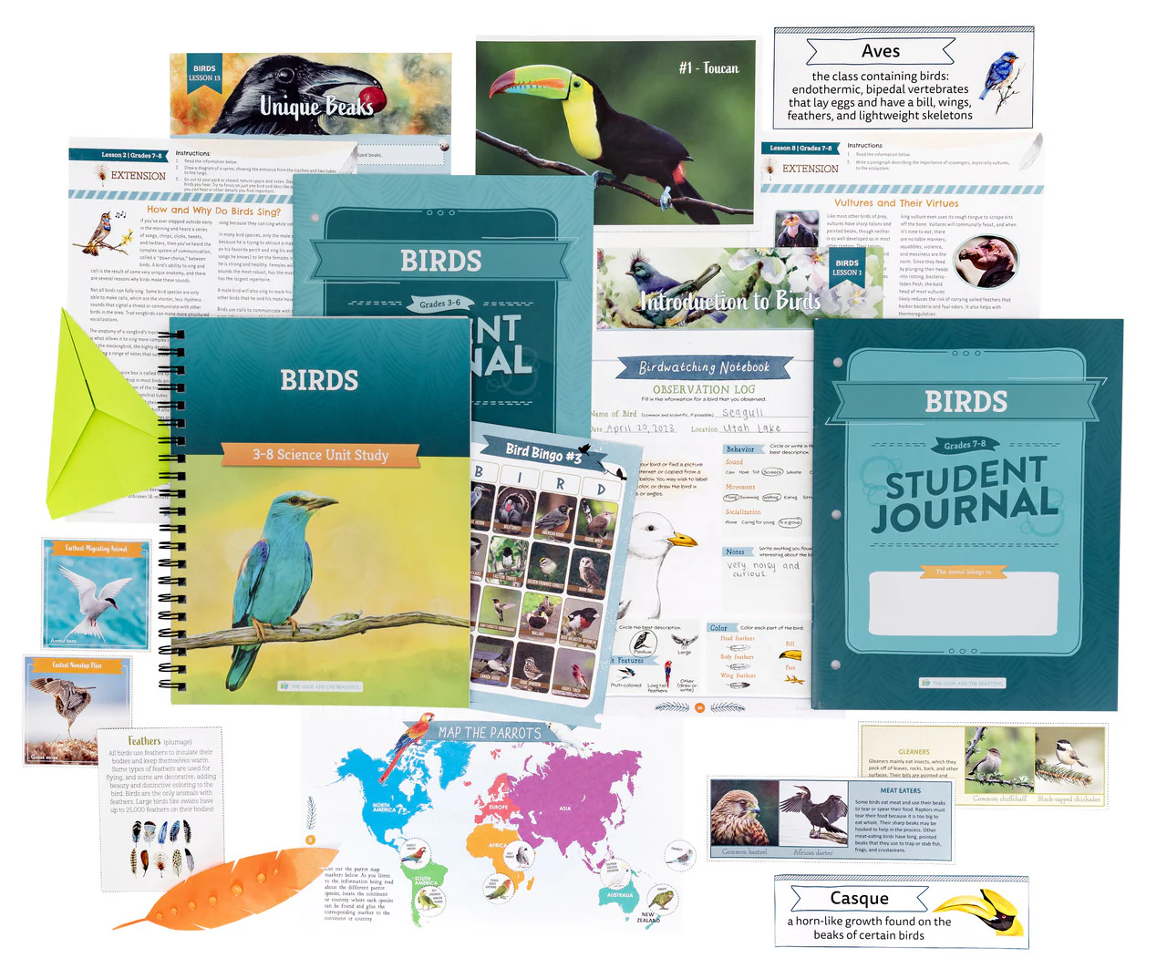 Birds: Course Book: One Per Family - Image 2