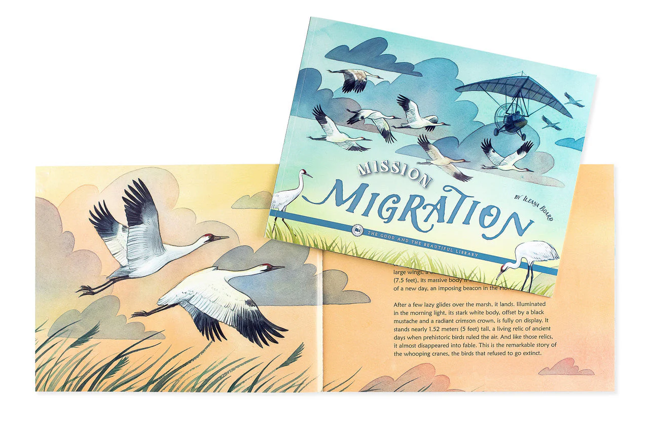 Birds Read-Aloud Book Pack - Image 6