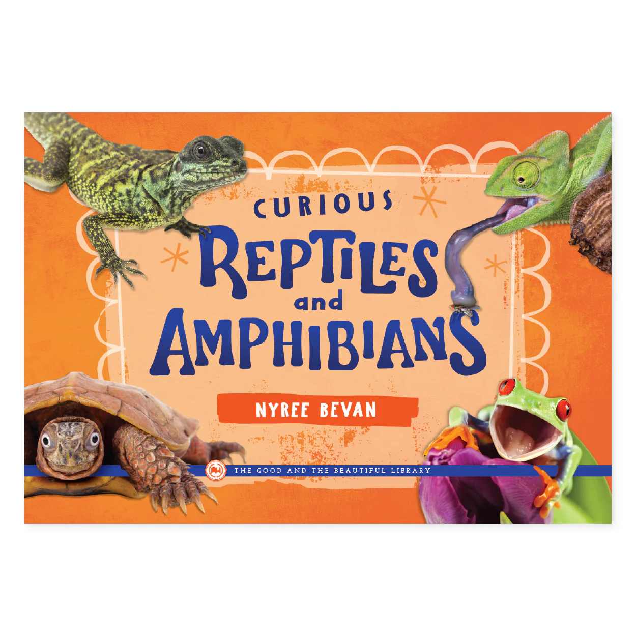 Curious Reptiles and Amphibians