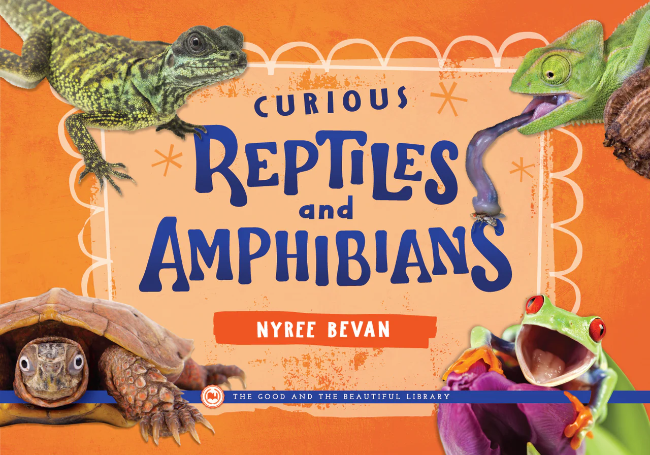 Curious Reptiles and Amphibians - Image 2