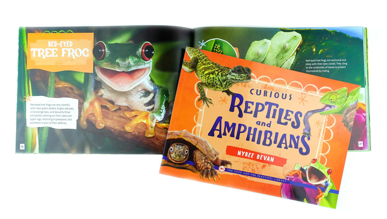 Curious Reptiles and Amphibians - Image 3