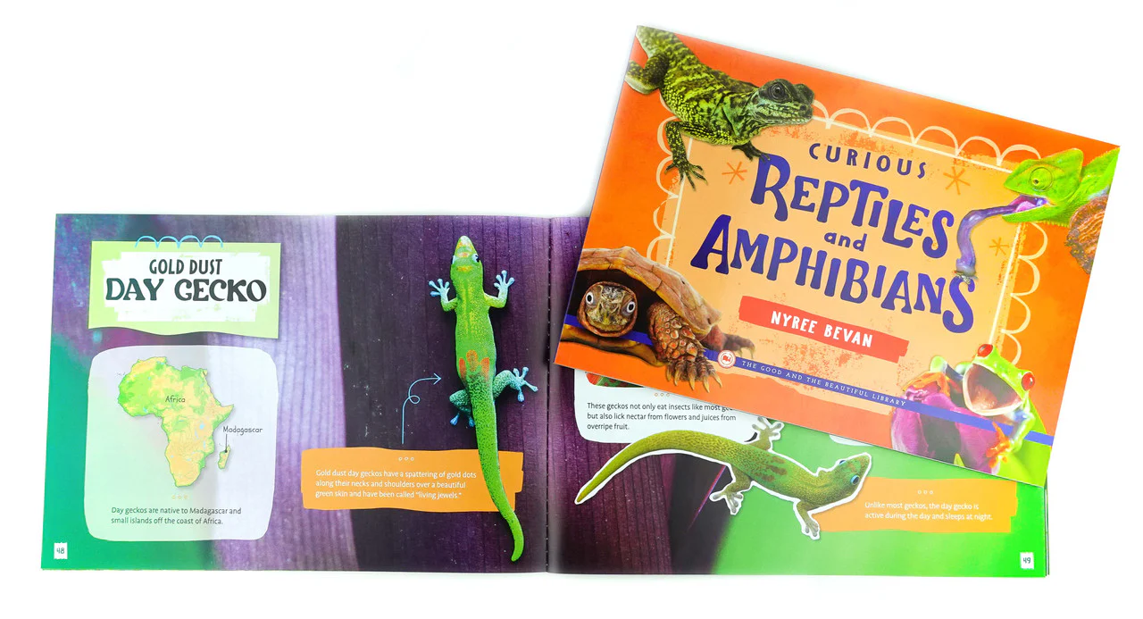 Curious Reptiles and Amphibians - Image 4