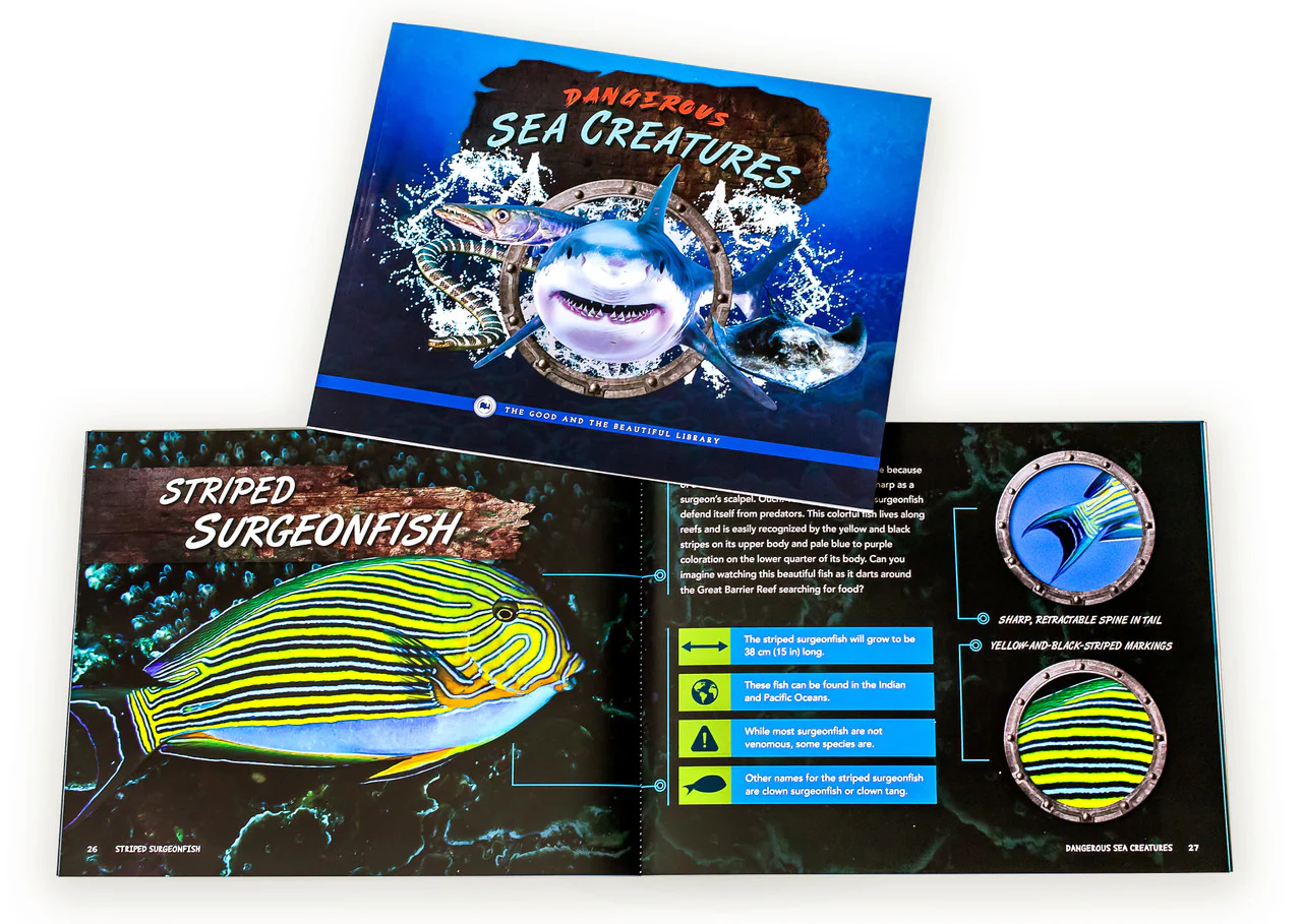 Dangerous Sea Creatures: by The Good and the Beautiful Team - Image 2