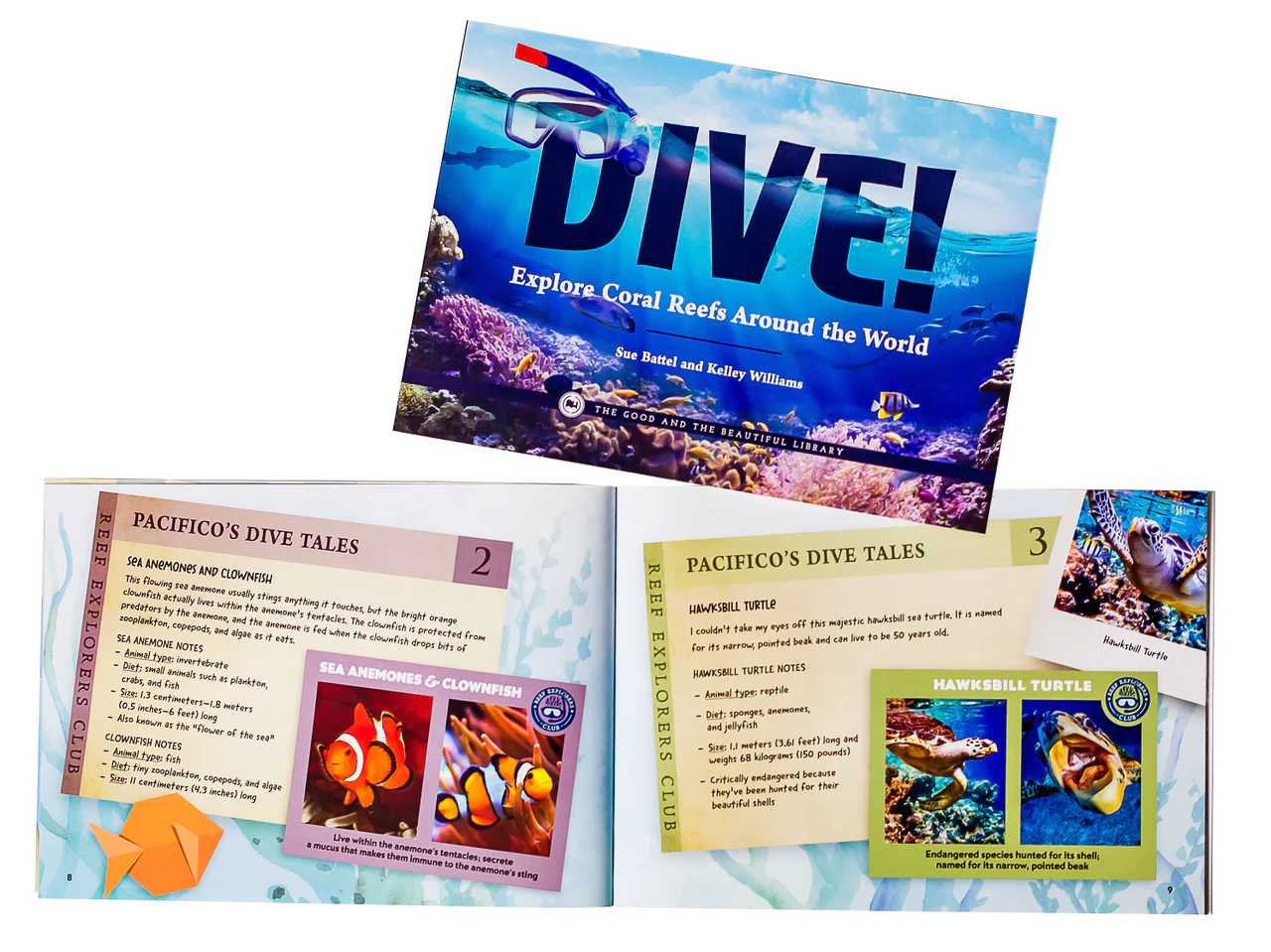 Dive! Explore Coral Reefs Around the World: by Sue Battel and Kelley Williams - Image 2