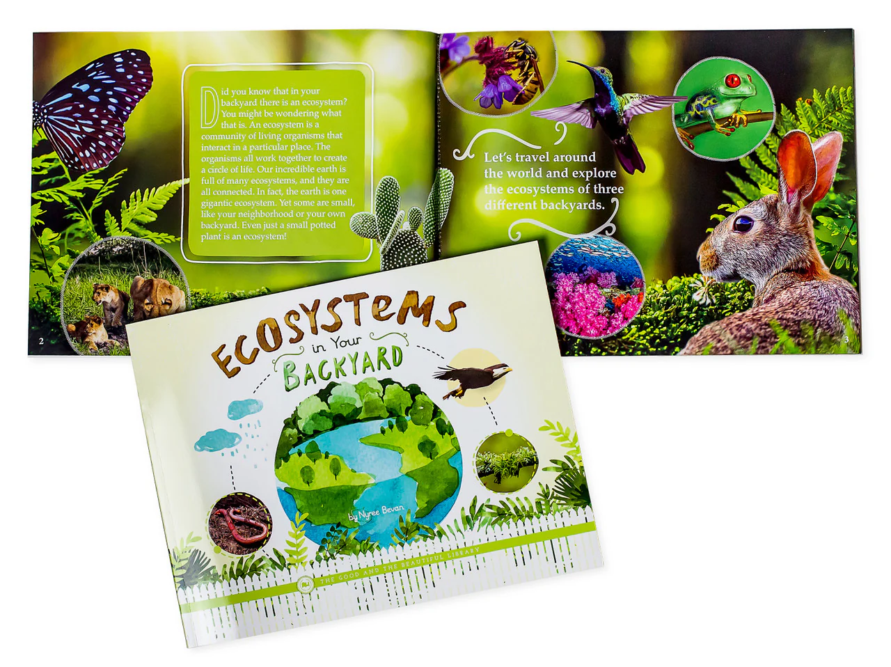 Ecosystems in Your Backyard: by Nyree Bevan - Image 2
