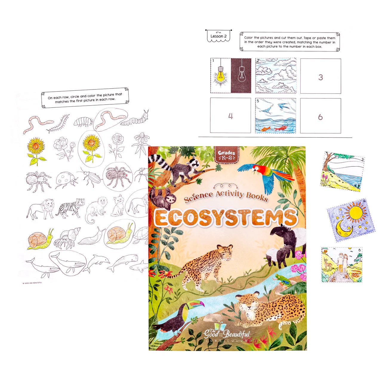 Ecosystems: Science Activity Book - Image 3
