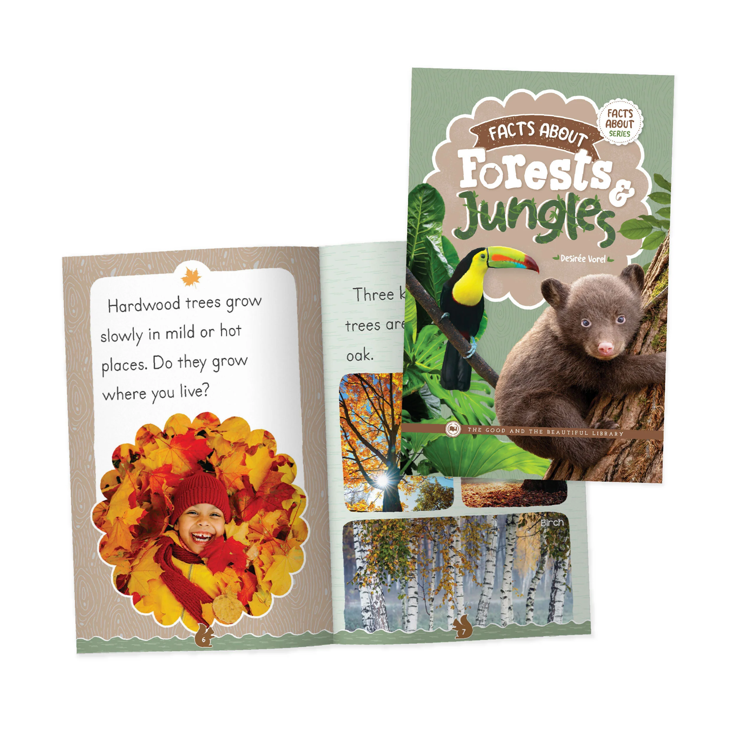 Facts About Forests & Jungles - Image 2