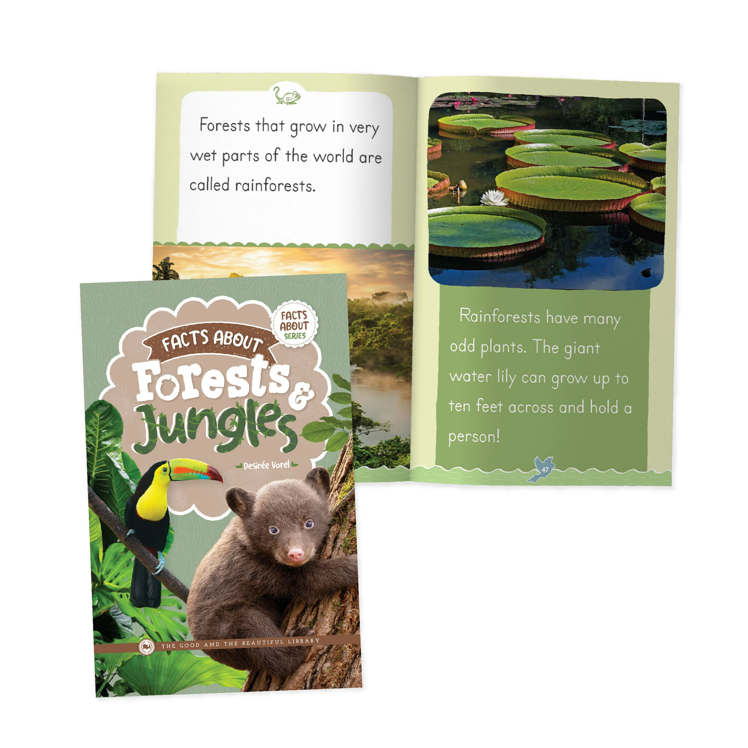 Facts About Forests & Jungles - Image 3