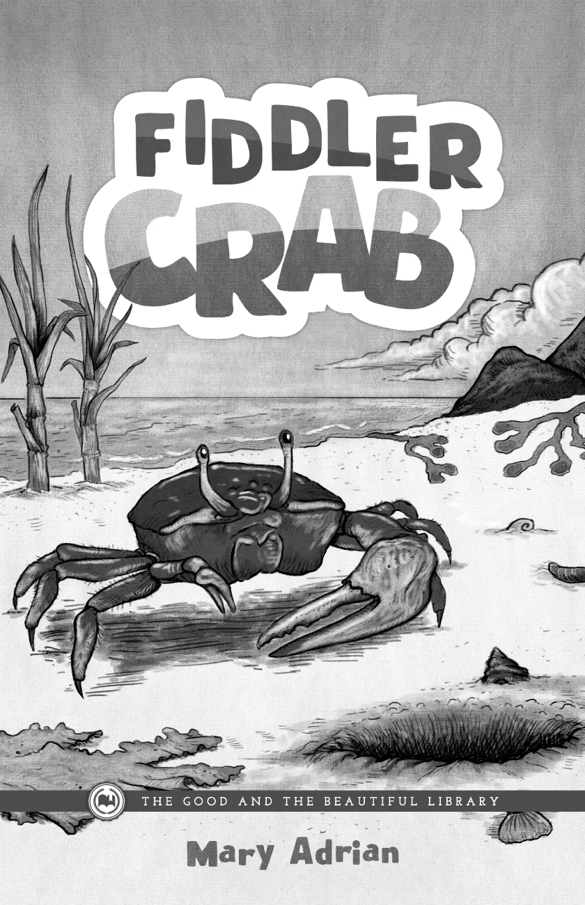 Fiddler Crab: by Mary Adrian