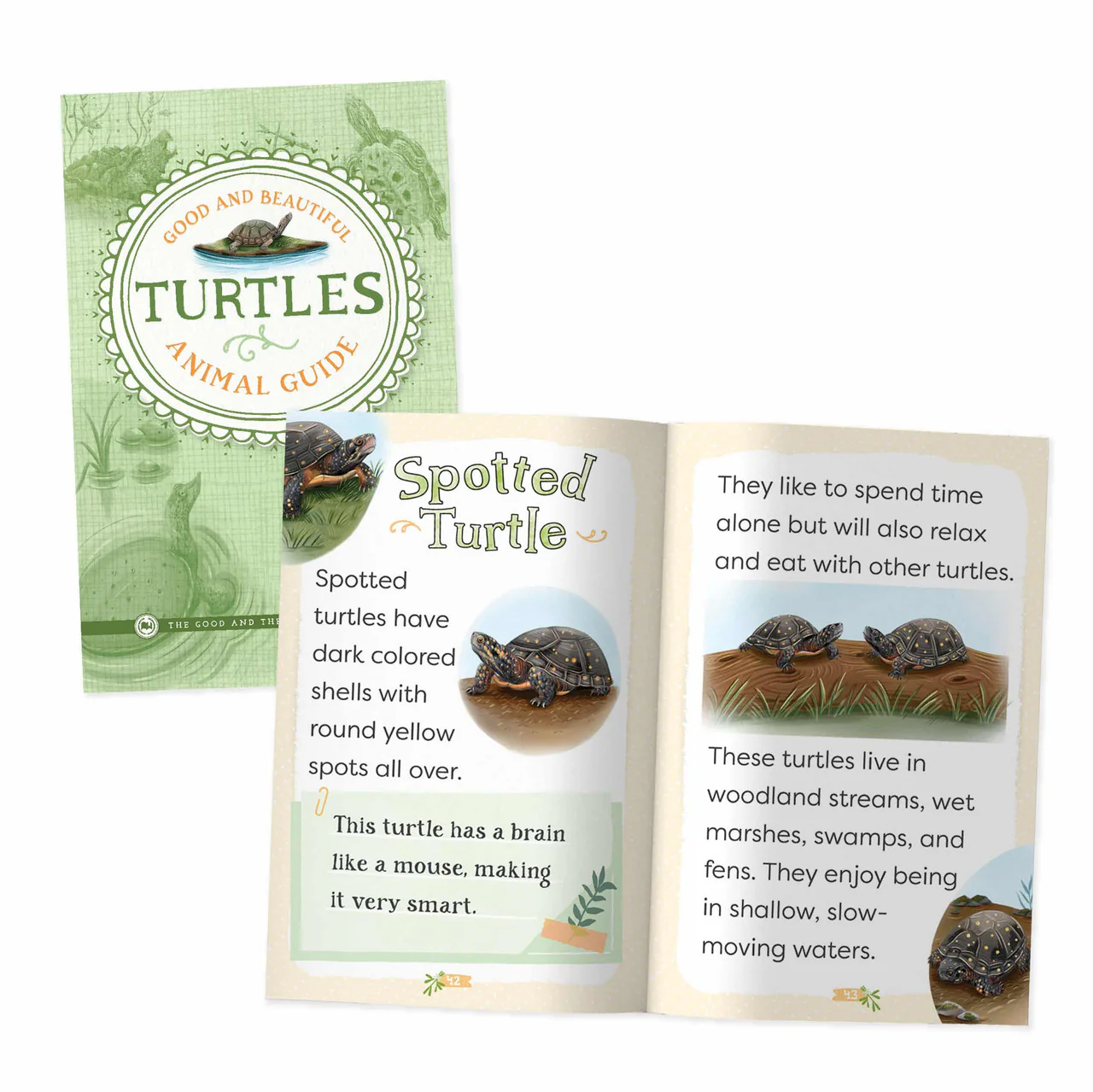 Good and Beautiful Animal Guide: Turtles - Image 2