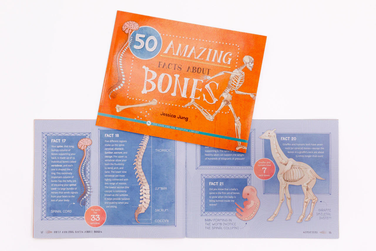 Health and the Physical Body Read-Aloud Book Pack - Image 4