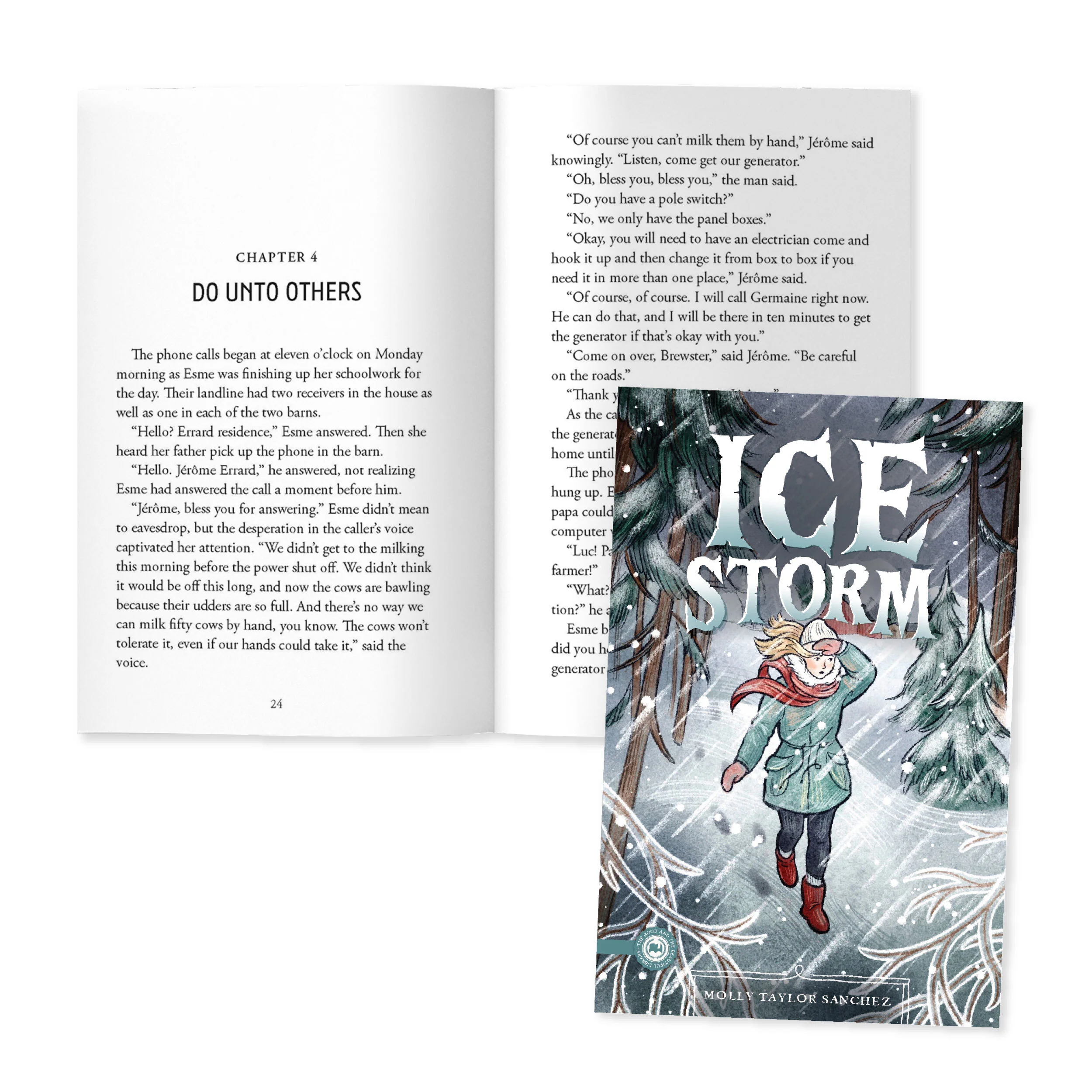 Ice Storm - Image 2