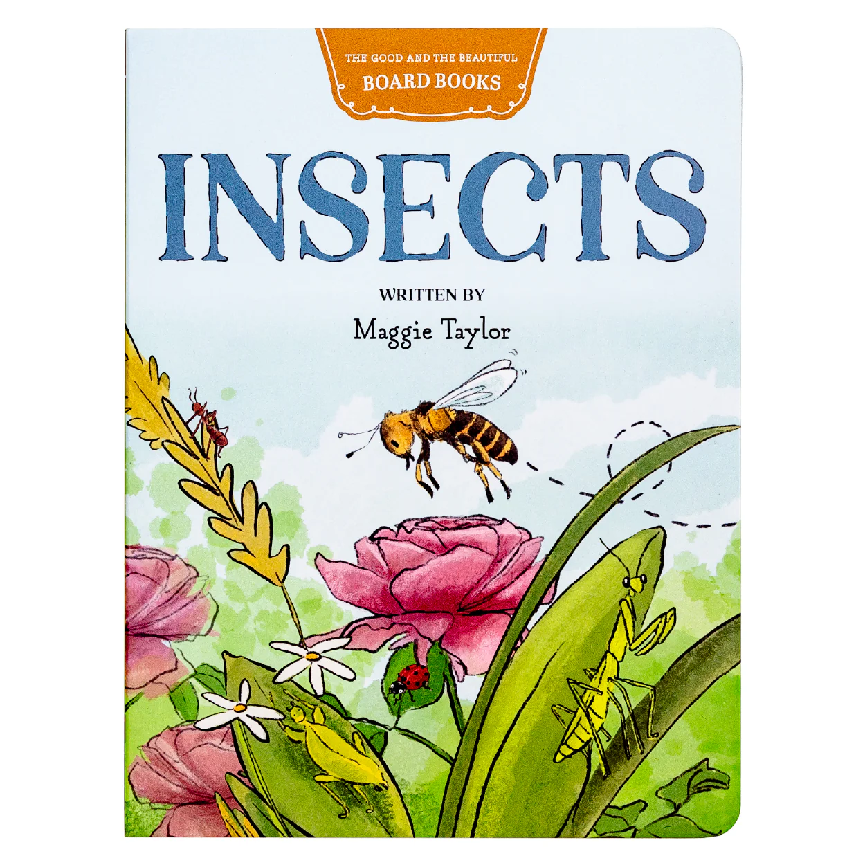 Insects Board Book