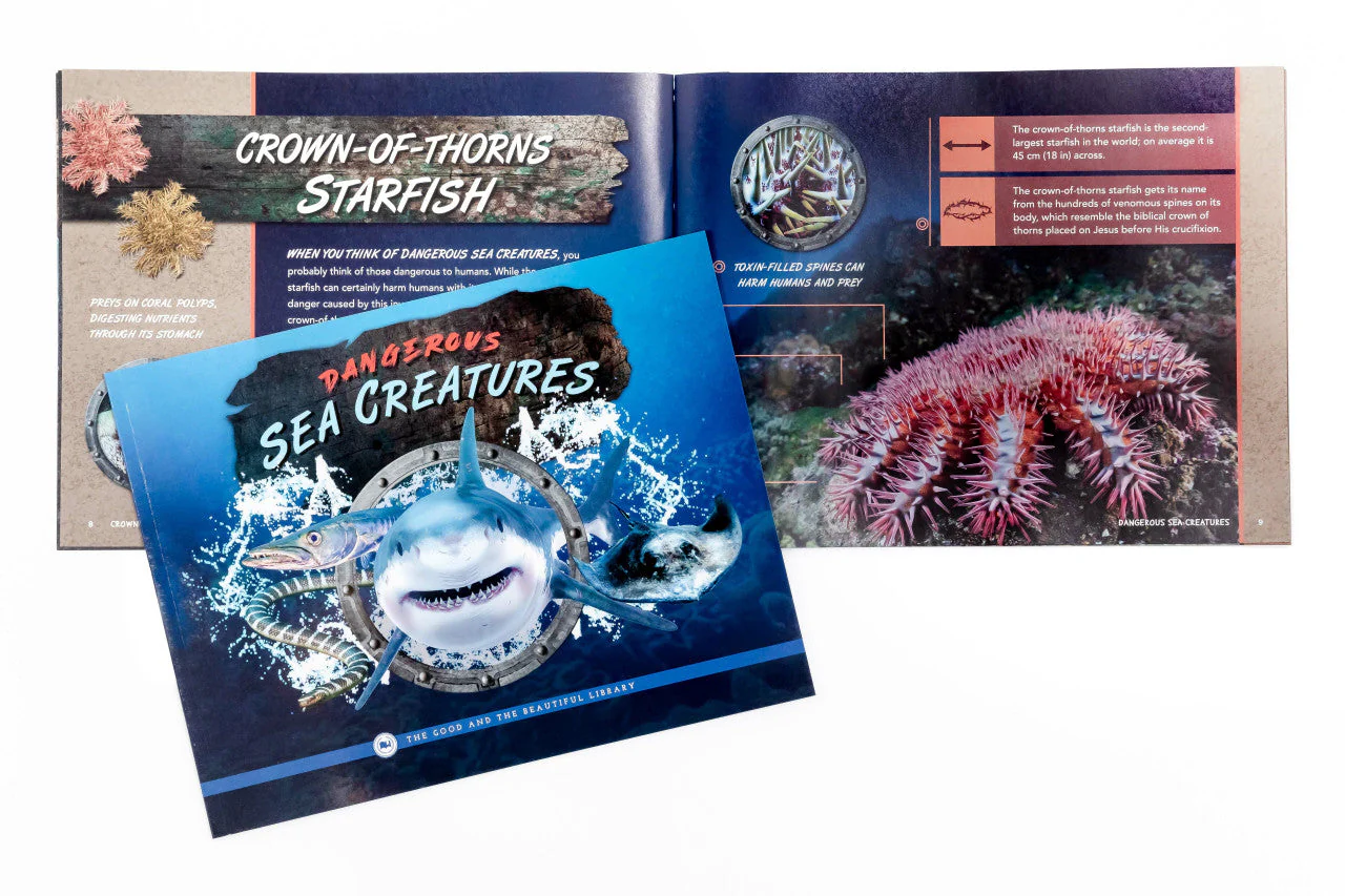 Marine Biology Read-Aloud Book Pack - Image 2