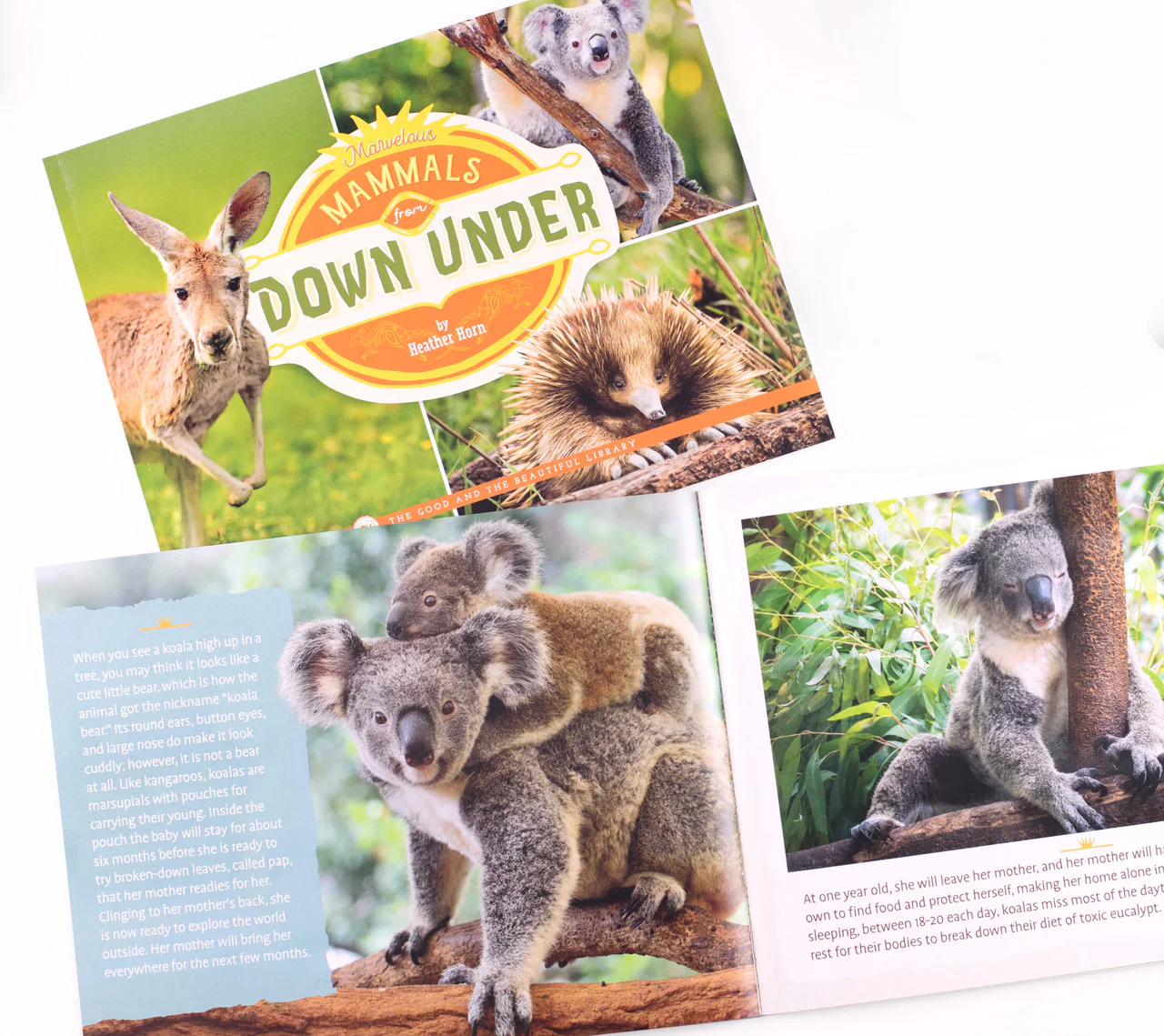Marvelous Mammals from Down Under: by Heather Horn - Image 2