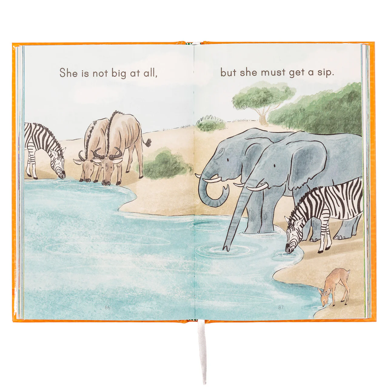 My Level K Africa Reader - Image 12
