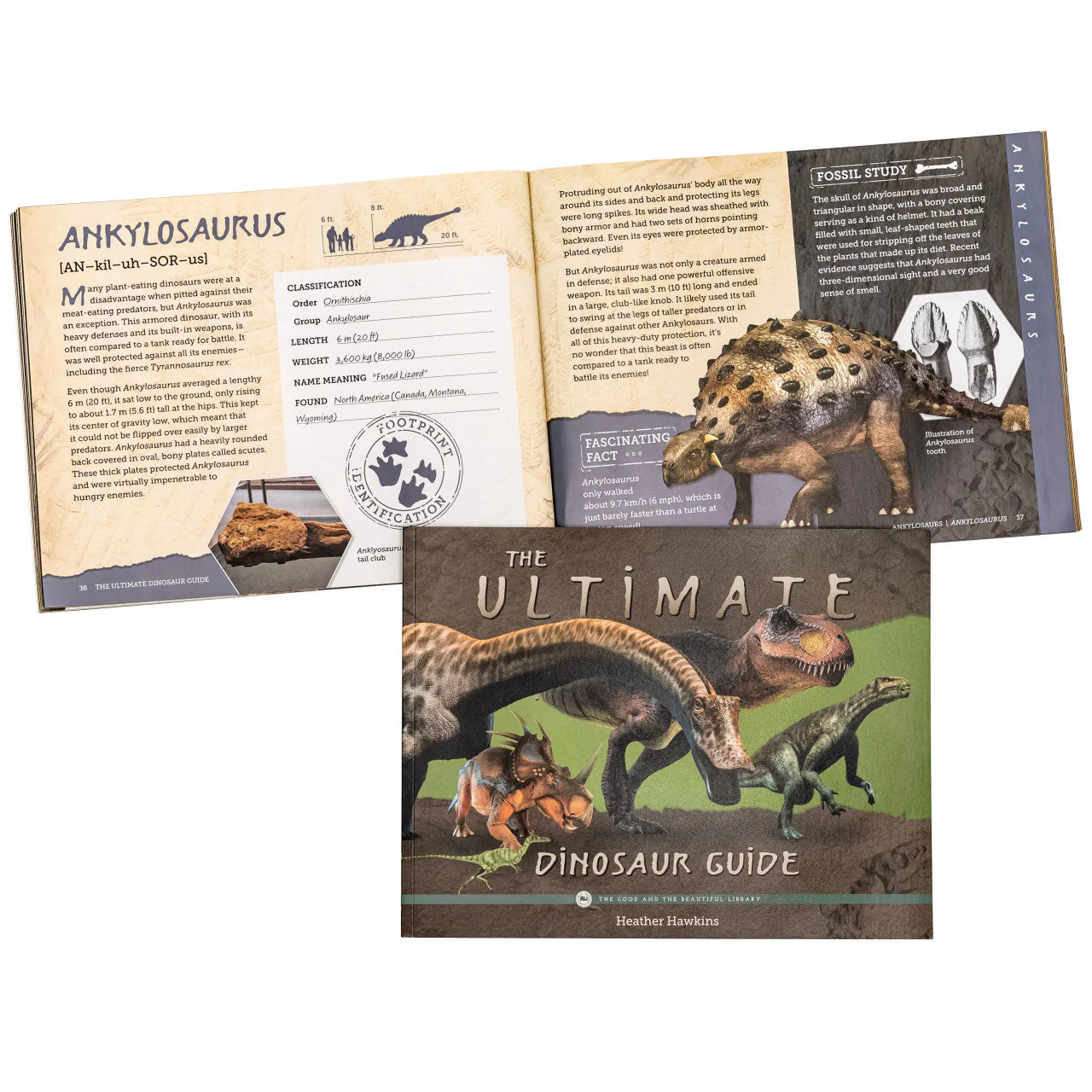 Paleontology Read-Aloud Book Pack - Image 3