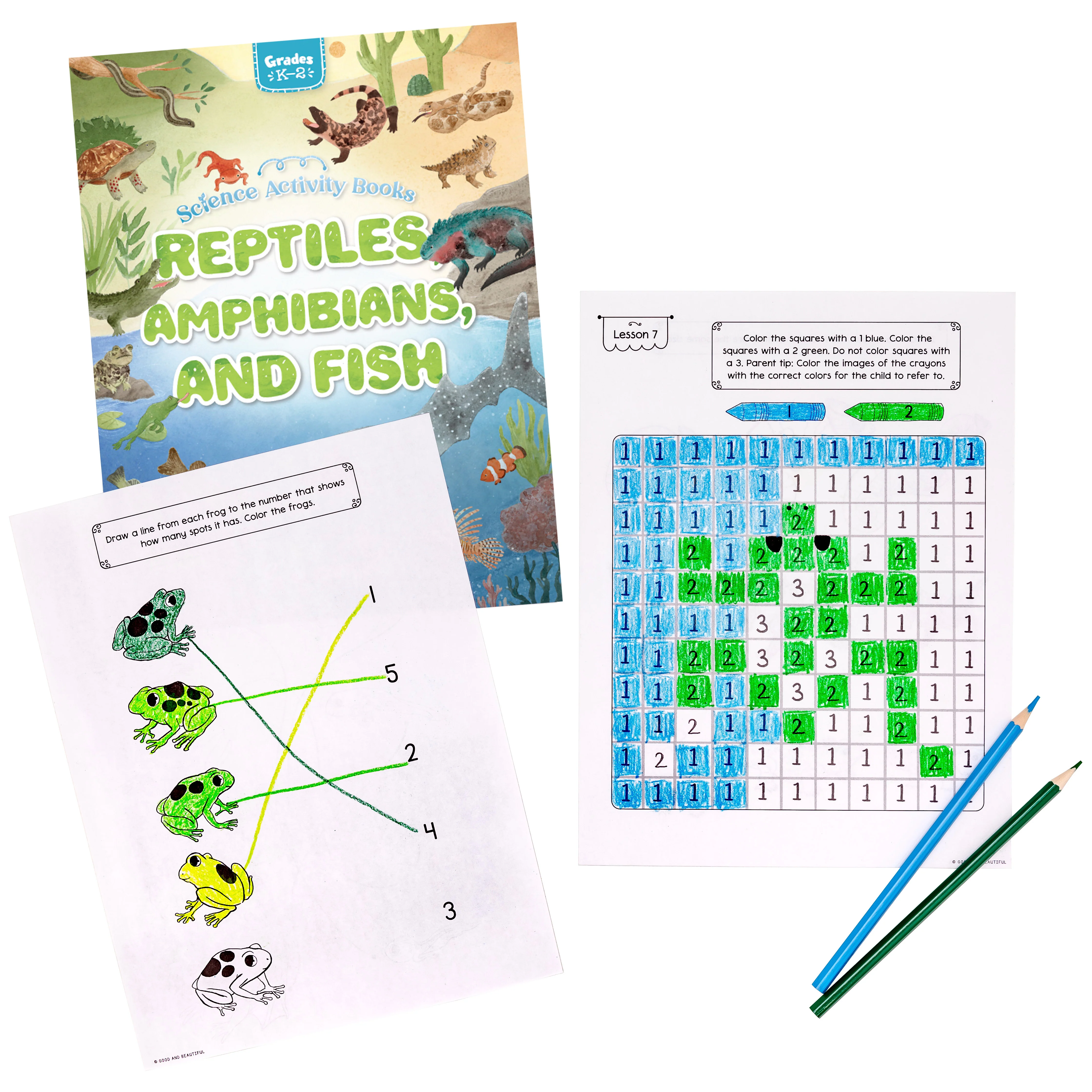 Science Activity Books - Image 16