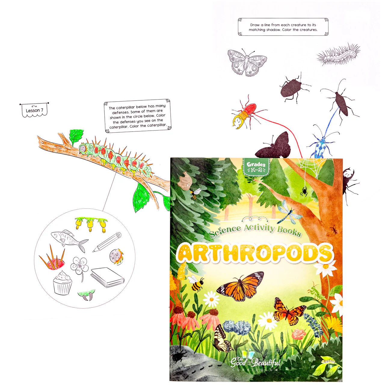 Science Activity Books - Image 2