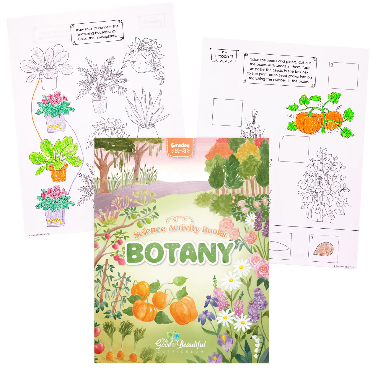 Science Activity Books - Image 4