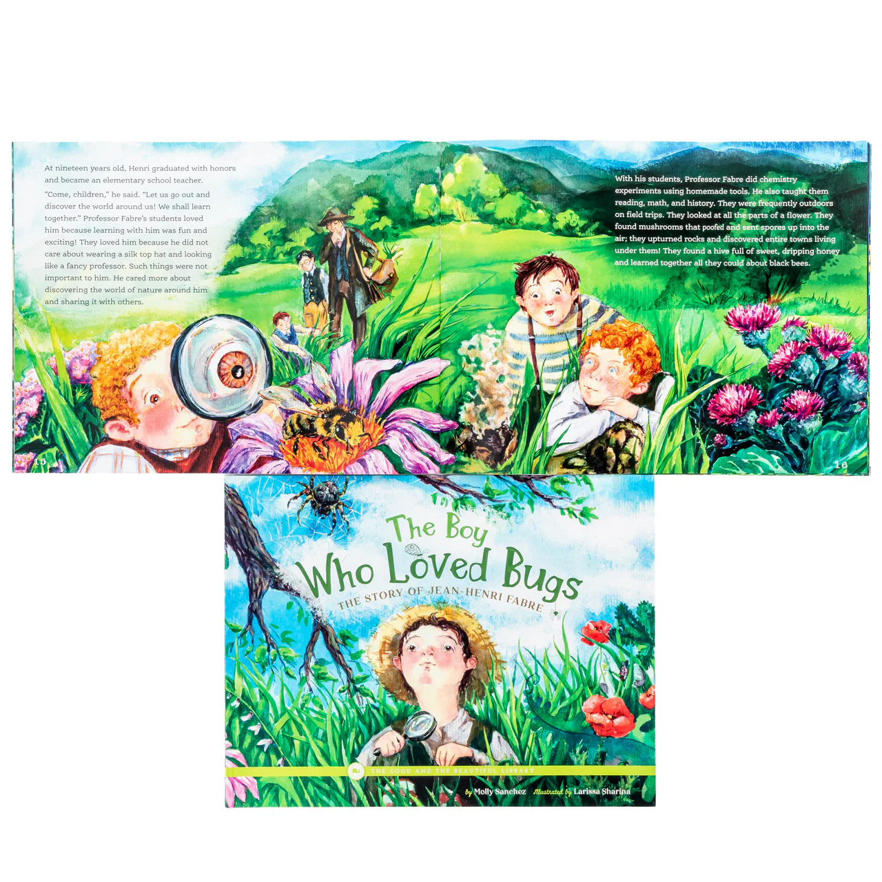 The Boy Who Loved Bugs - The Story of Jean-Henri Fabre: by Molly Sanchez - Image 2