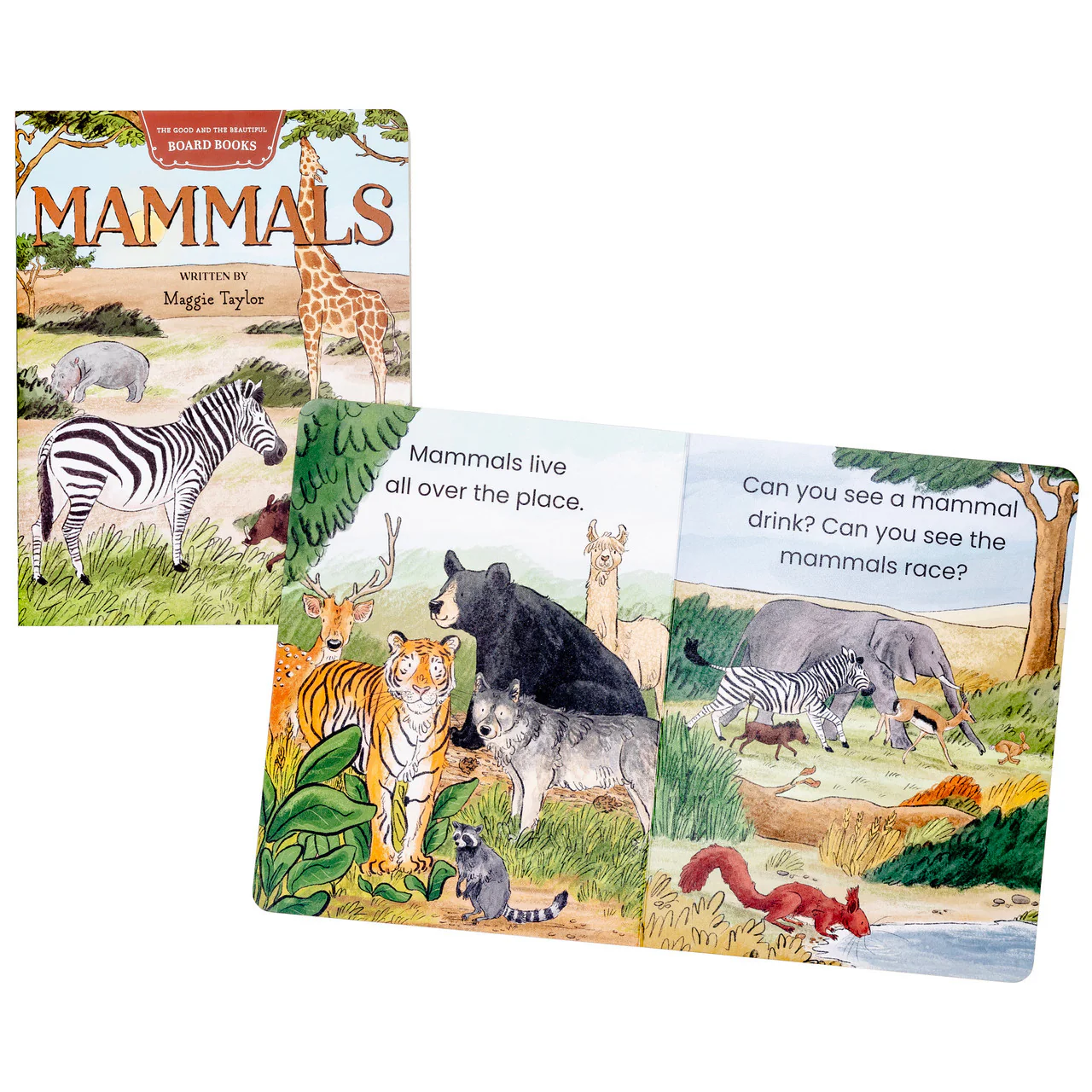 The Good and the Beautiful Board Books - Image 4
