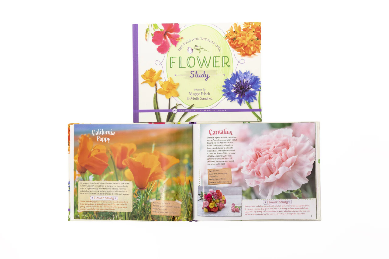 The Good and the Beautiful Flower Study - Image 2