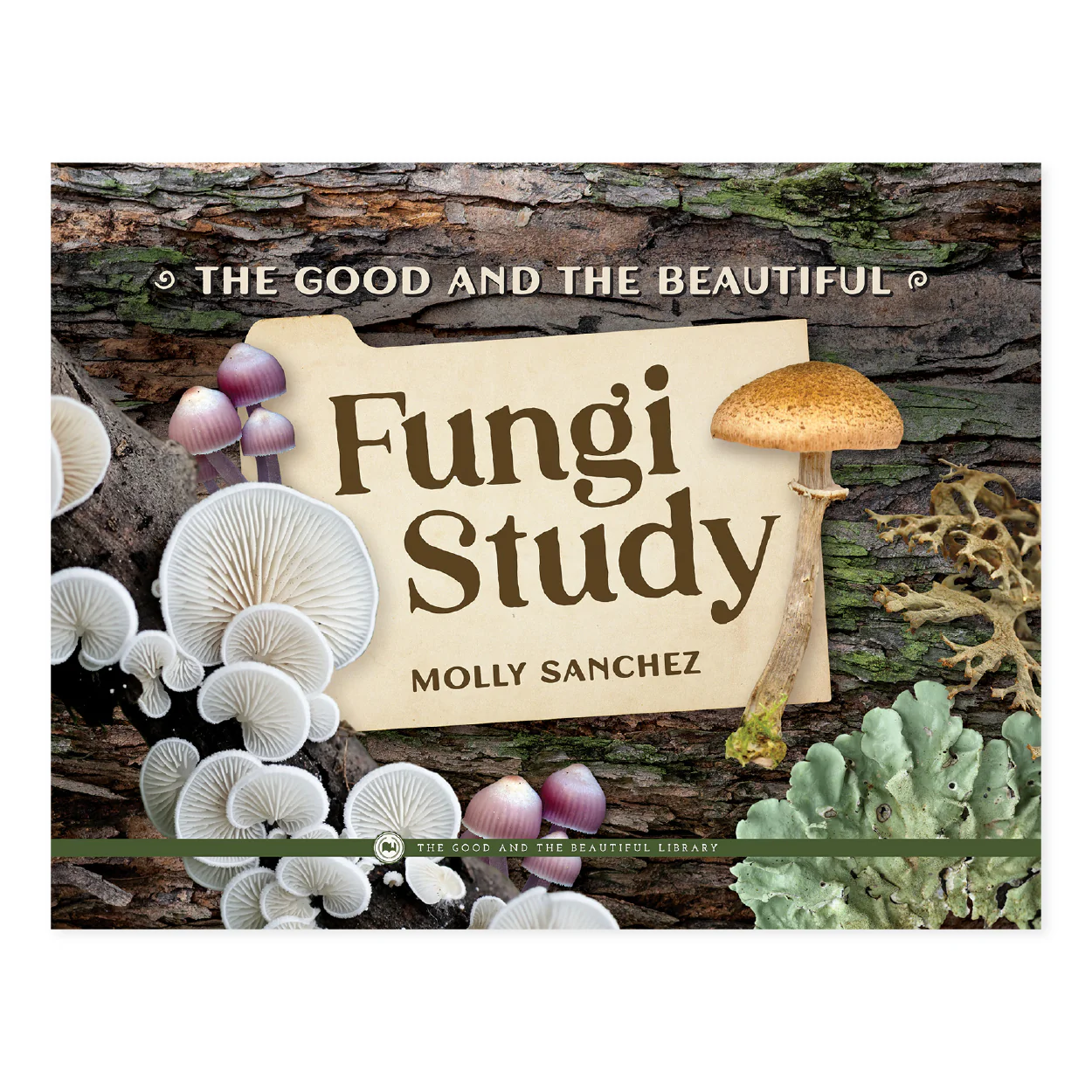 Fungi Study: Kingdoms and Classification Grades 7-8 Extension