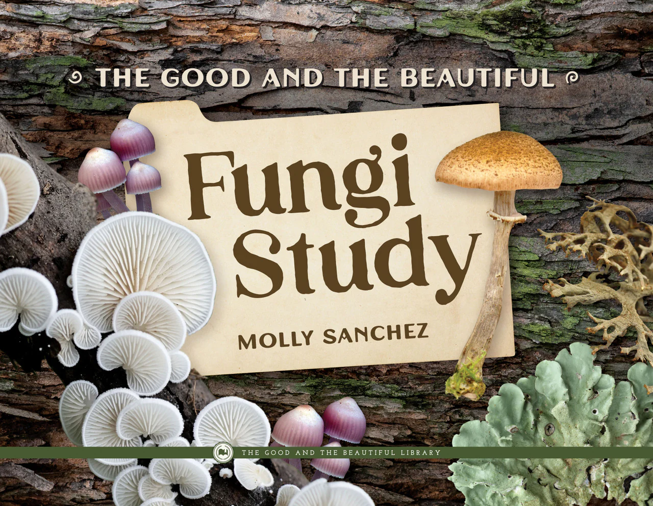 Fungi Study: Kingdoms and Classification Grades 7-8 Extension - Image 2