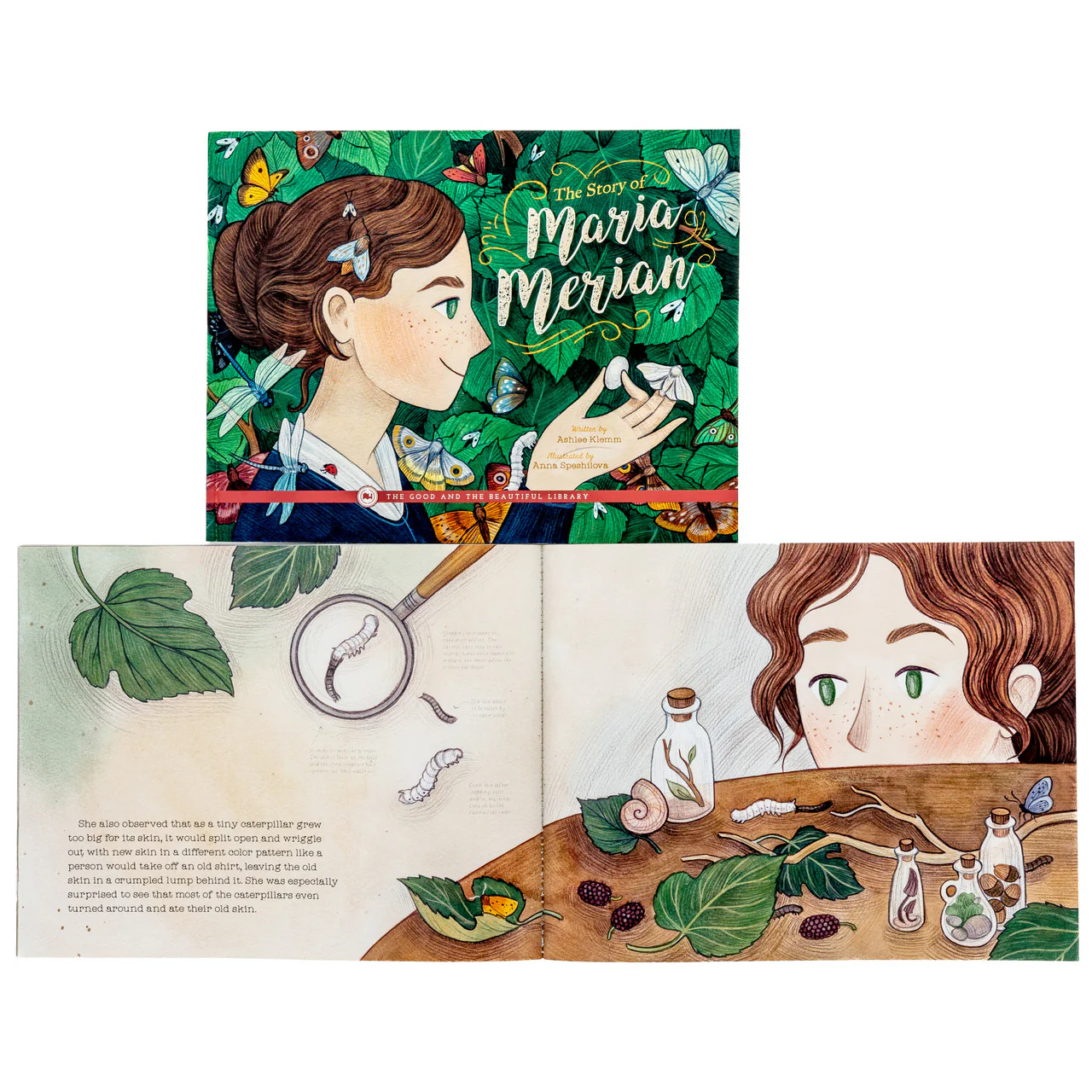 The Story of Maria Merian: by Ashlee Klemm - Image 2