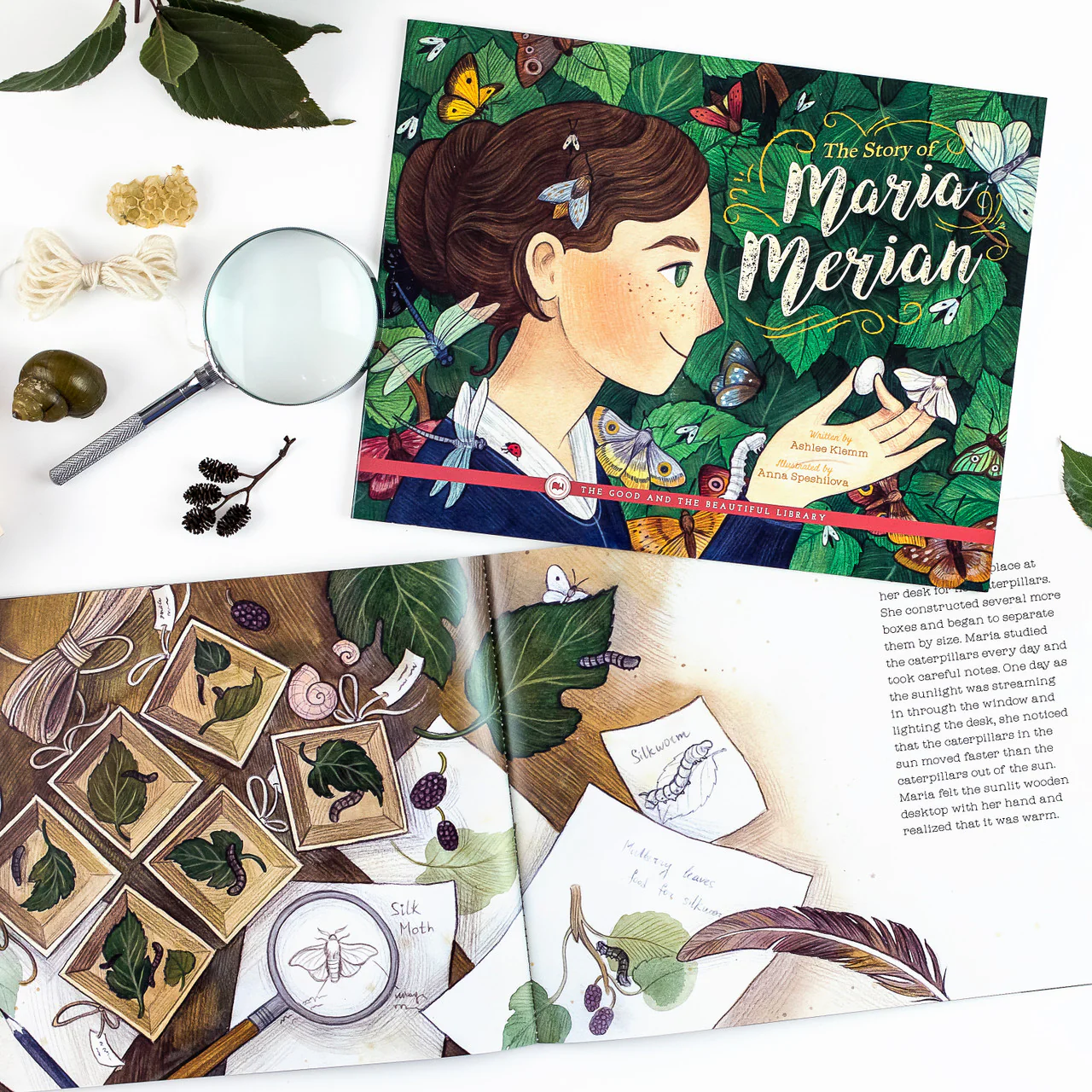 The Story of Maria Merian: by Ashlee Klemm - Image 3